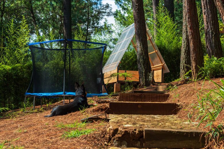 Modern Forest Retreat Among the Pines of Valle de Bravo - Valle de Bravo, Mexico