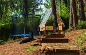 Modern Forest Retreat Among the Pines of Valle de Bravo - Valle de Bravo, Mexico