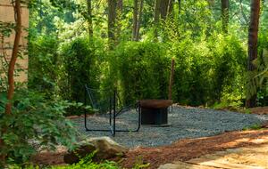 Modern Forest Retreat Among the Pines of Valle de Bravo - Valle de Bravo, Mexico