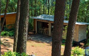 Modern Forest Retreat Among the Pines of Valle de Bravo - Valle de Bravo, Mexico