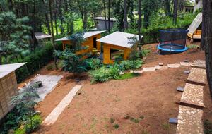 Modern Forest Retreat Among the Pines of Valle de Bravo - Valle de Bravo, Mexico