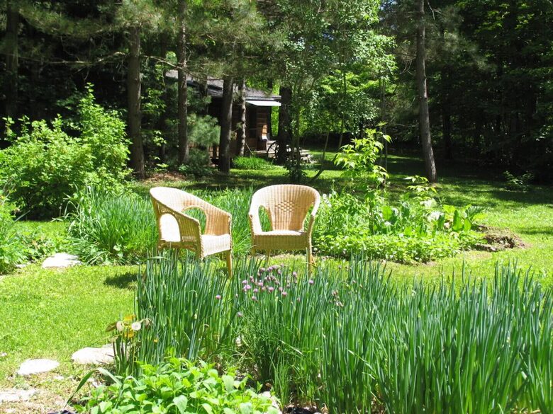 Private Woodland Retreat Along the Black River - Milford, Canada