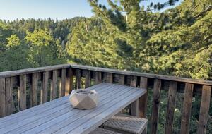 Twin Peaks Mountain Retreat with Scenic Deck and Fireplace - Twin Peaks, California