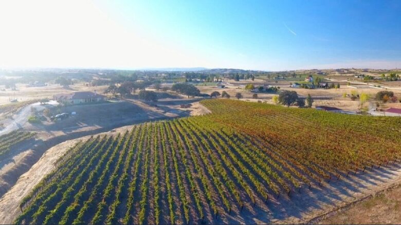 Vineyard Escape in Paso Robles - Paso Robles, California