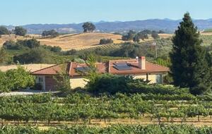 Vineyard Escape in Paso Robles - Paso Robles, California