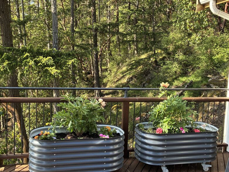 Sunset Retreat on Orcas Island - Eastsound, Washington