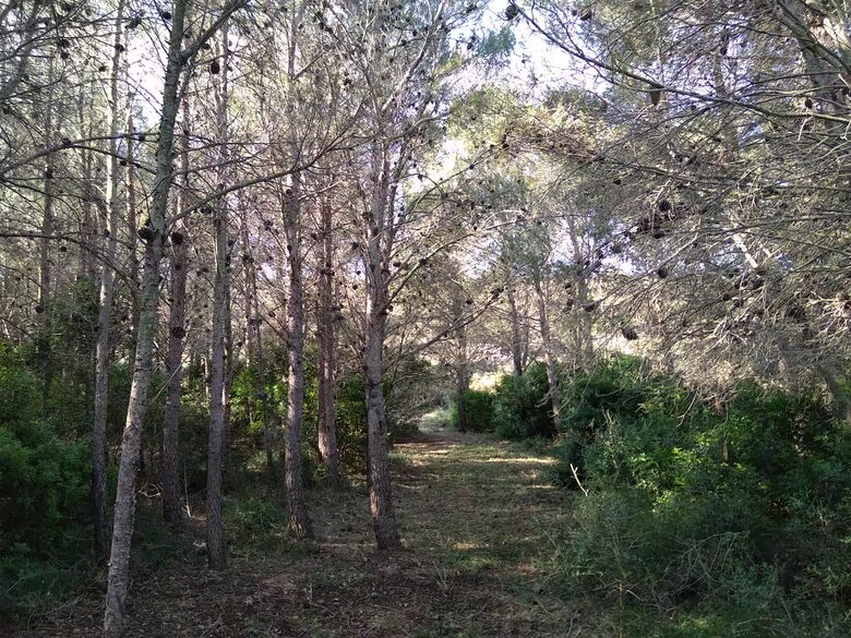 The Off Grid Bergerie - Fitou, France