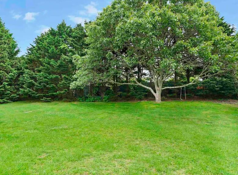 Classic Vineyard Escape One Mile from South Beach - Edgartown, Massachusetts