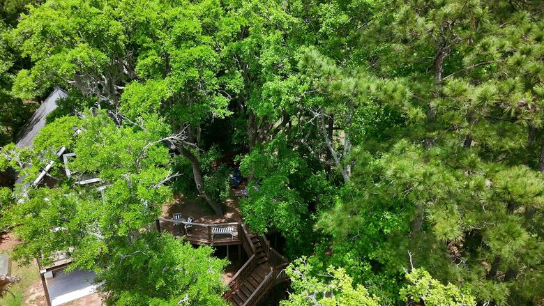 Lowcountry Treehouse Retreat Overlooking the Marsh - Johns Island, South Carolina