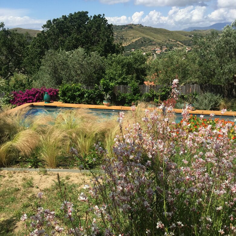 Cilento Hillside Villa with Sunset Sea Views - Perdifumo, Italy
