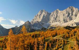 Dachstein Mountain Apartment in the Alps - Ramsau am Dachstein, Austria