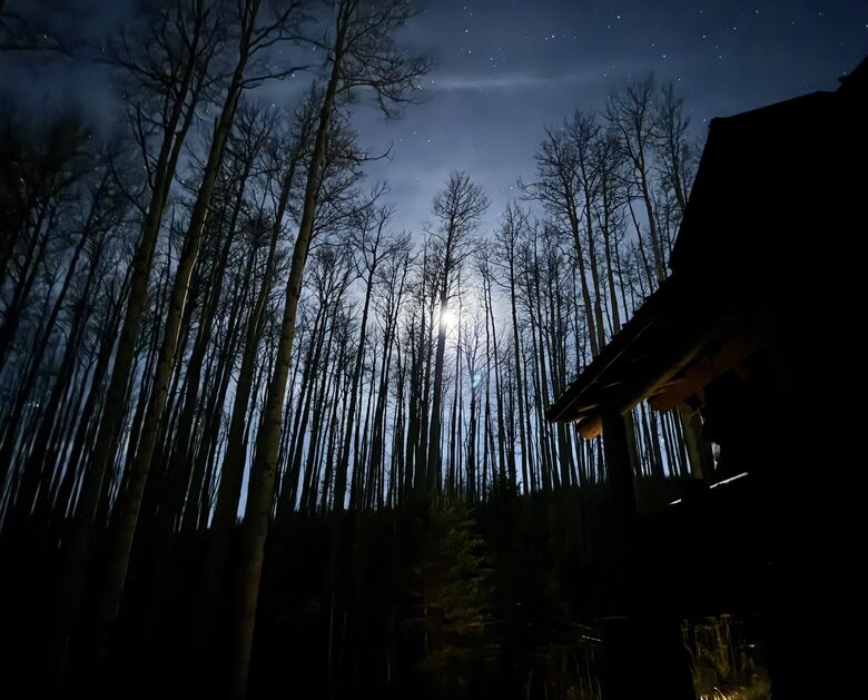 Quiet Log Chalet in an Aspen Grove - Gypsum, Colorado