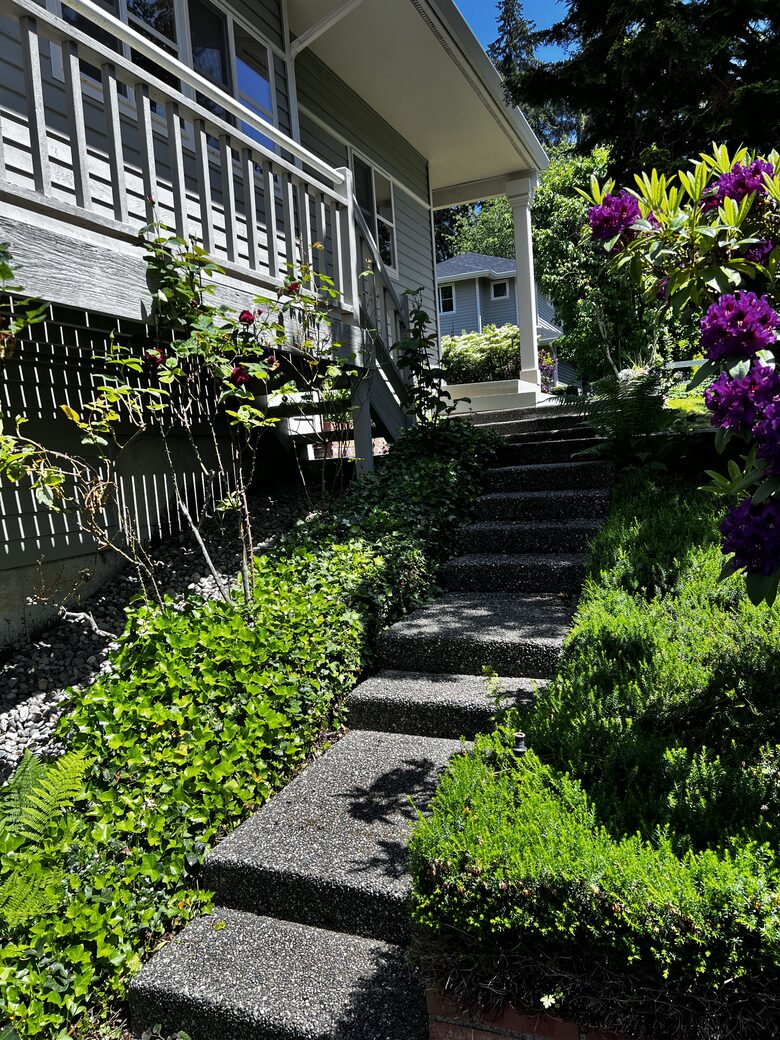 Mature rhododendrons and hydrangeas throughout property