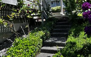 Mature rhododendrons and hydrangeas throughout property