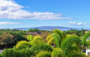 Tropical Two-Suite Retreat in the Heart of Wailea - Kihei, Hawaii