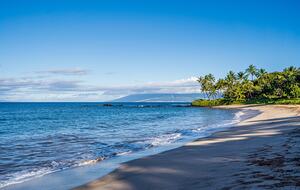 Tropical Two-Suite Retreat in the Heart of Wailea - Kihei, Hawaii