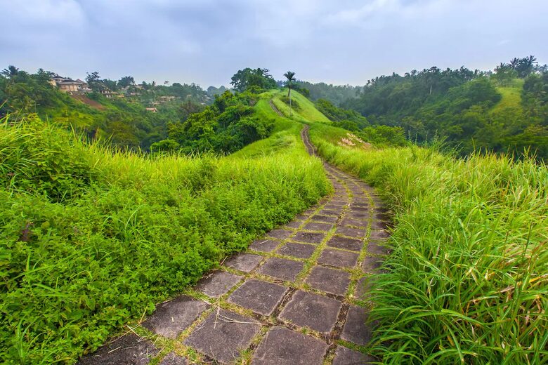 Villa Saraswati - Ubud, Indonesia