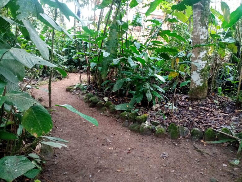 Mindo Cloud Forest Retreat on the Saguambi River - Mindo, Ecuador