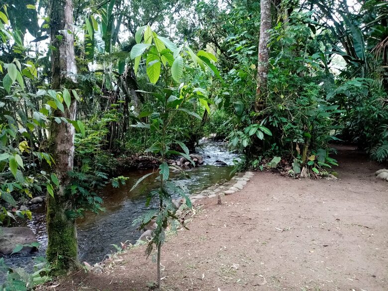 Mindo Cloud Forest Retreat on the Saguambi River - Mindo, Ecuador