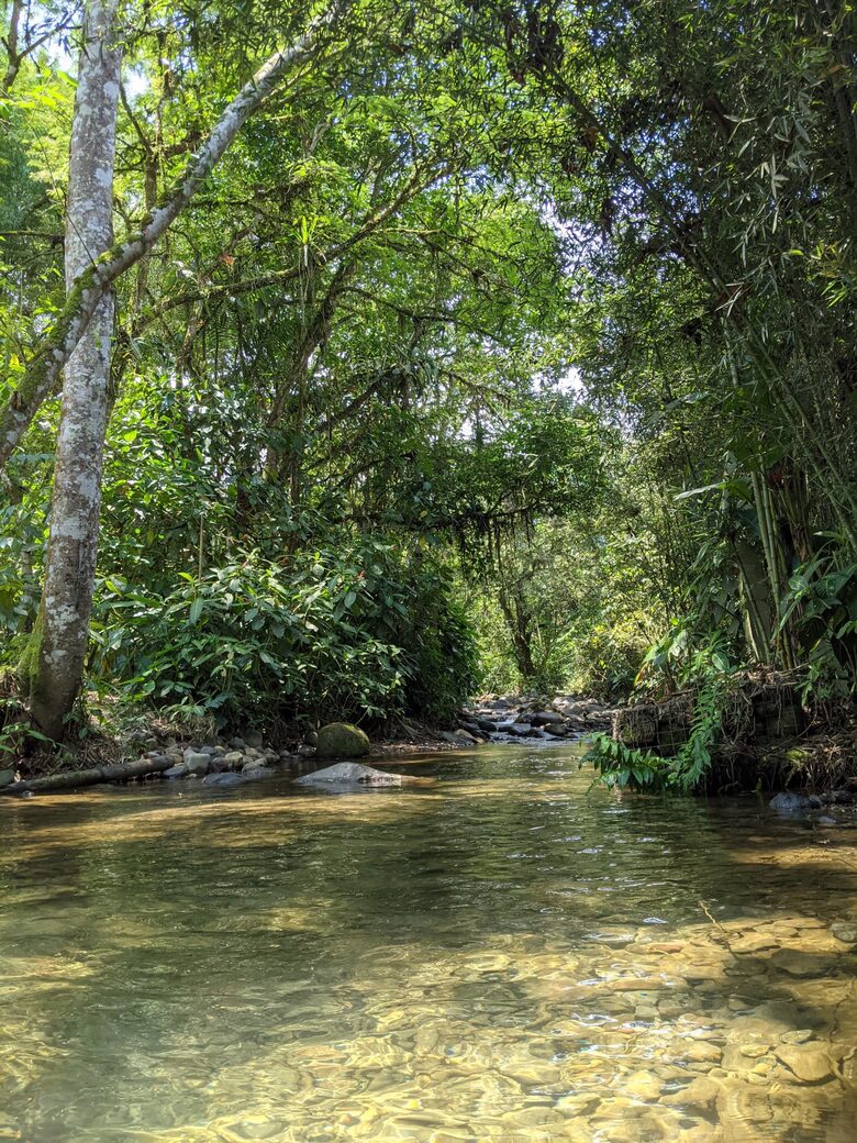 Mindo Cloud Forest Retreat on the Saguambi River - Mindo, Ecuador