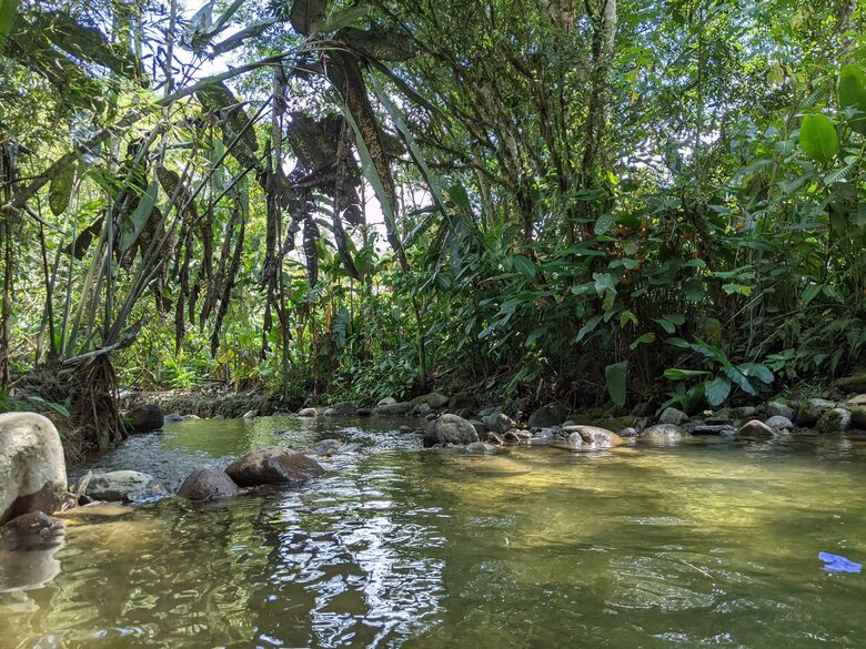 Mindo Cloud Forest Retreat on the Saguambi River - Mindo, Ecuador