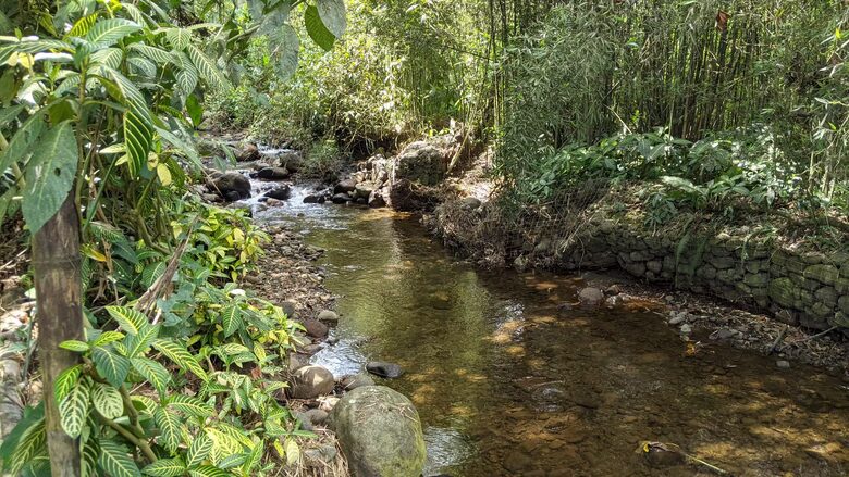 Mindo Cloud Forest Retreat on the Saguambi River - Mindo, Ecuador