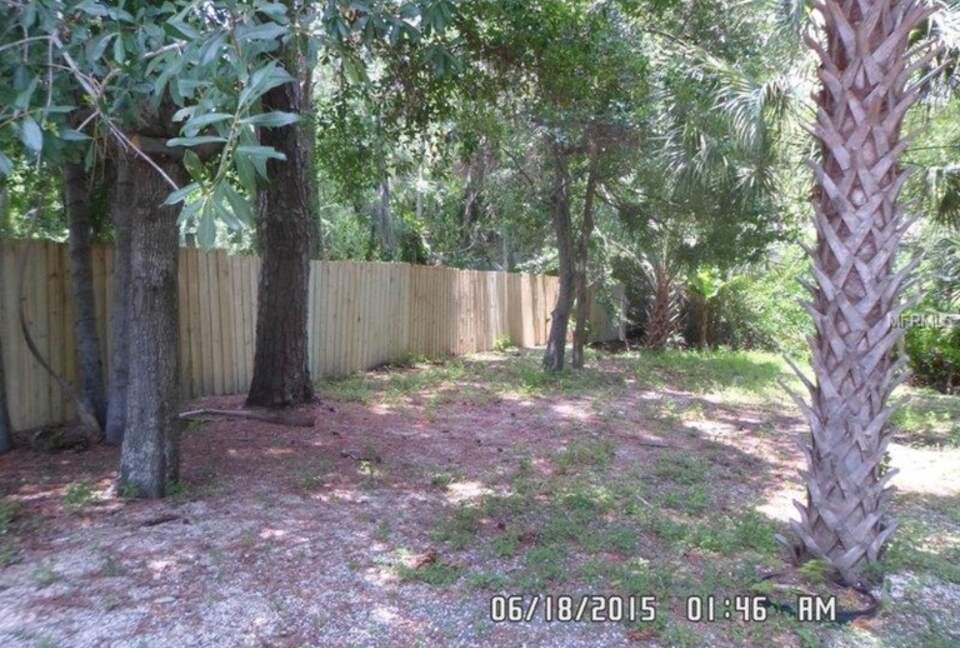Tropical Poolhouse Near Tampa Bay & Clearwater Beaches - Tampa, Florida