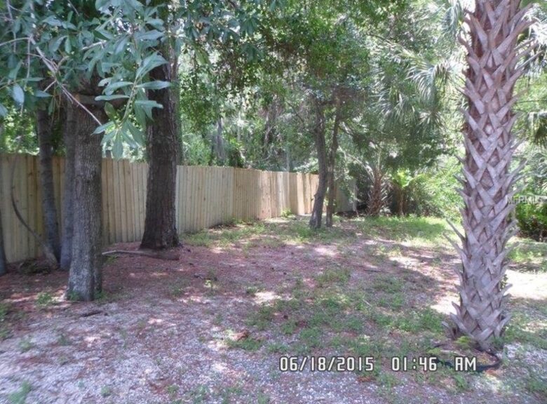 Tropical Poolhouse Near Tampa Bay & Clearwater Beaches - Tampa, Florida