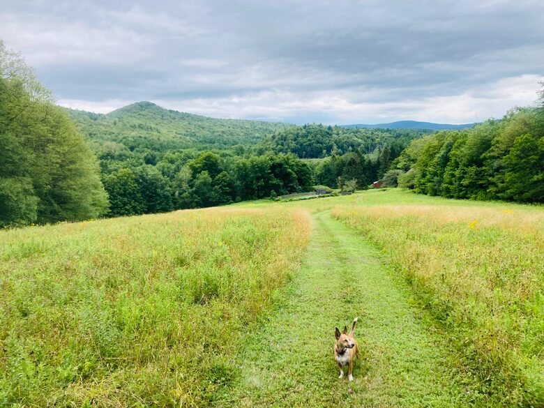 Berkshires Estate on 100 Acres with Heated Pool and Sauna - Canaan, New York