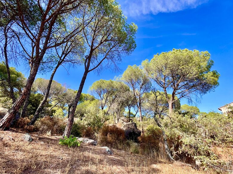 Provençal Vineyard Villa with Private Pool and Tennis Court - Vidauban, France