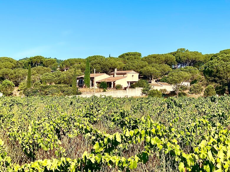 Provençal Vineyard Villa with Private Pool and Tennis Court - Vidauban, France