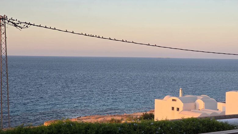 Cap Zebib Coastal Escape - Cap Zebib, Tunisia