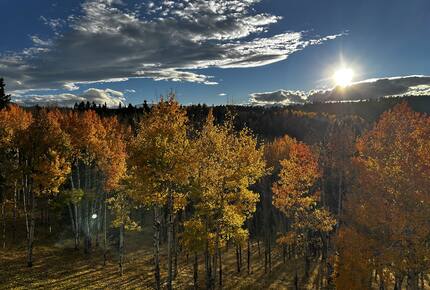 Colorado Mountain Cabin Overlooking Pikes Peak - Woodland Park, Colorado