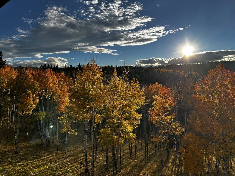 Colorado Mountain Cabin Overlooking Pikes Peak - Woodland Park, Colorado