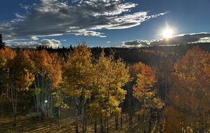 Colorado Mountain Cabin Overlooking Pikes Peak - Woodland Park, Colorado