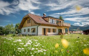 Dachstein Mountain Apartment in the Alps - Ramsau am Dachstein, Austria