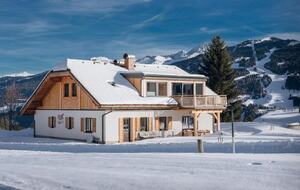 Dachstein Mountain Apartment in the Alps - Ramsau am Dachstein, Austria