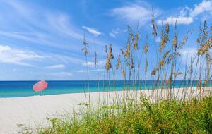 Bradenton Beautiful | Ein Urlaub am Meer, nur 3 Minuten von Bradenton Beach entfernt – Bradenton Beach, Florida