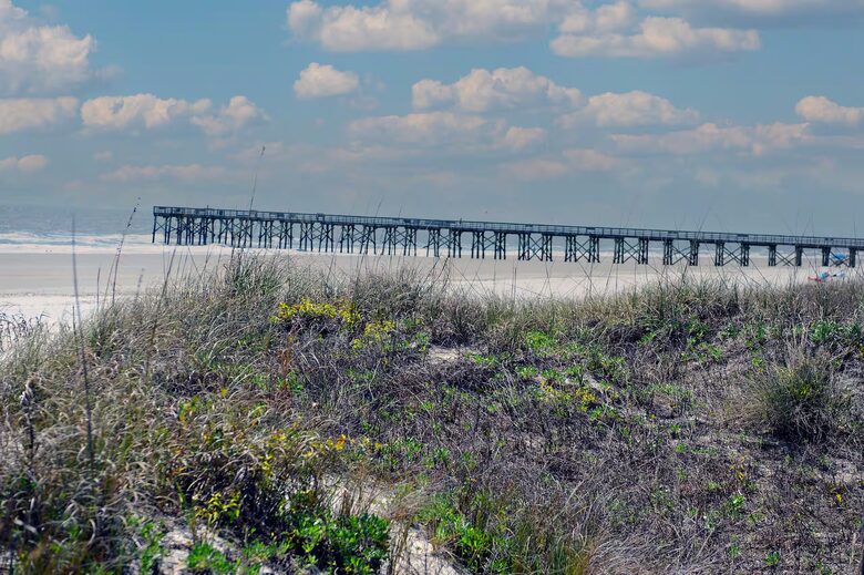 Isle of Palms Beach Retreat with Lagoon-Side Firepit - Isle of Palms, South Carolina