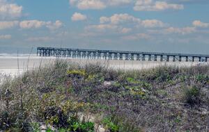 Isle of Palms Beach Retreat with Lagoon-Side Firepit - Isle of Palms, South Carolina