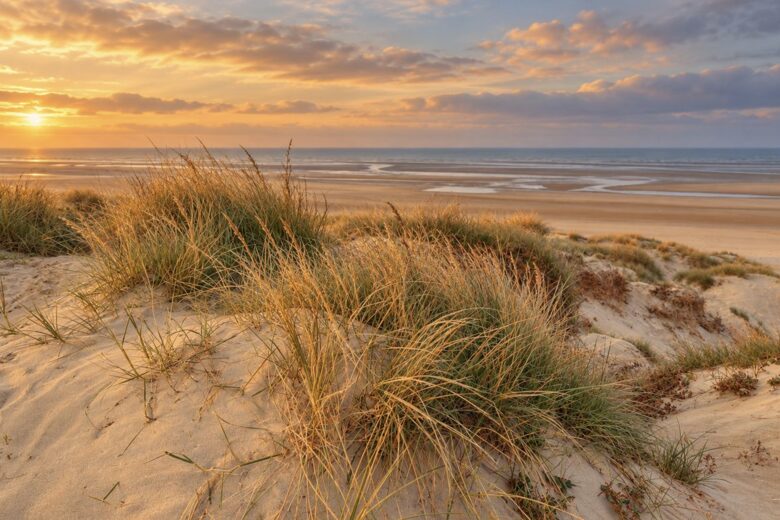 Dune Reach, Cambersands - Rye, United Kingdom