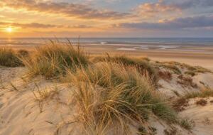 Dune Reach, Cambersands - Rye, United Kingdom