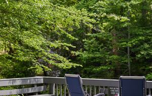 North Georgia Mountain Retreat with Private Chattahoochee River Deck - Clarkesville, Georgia