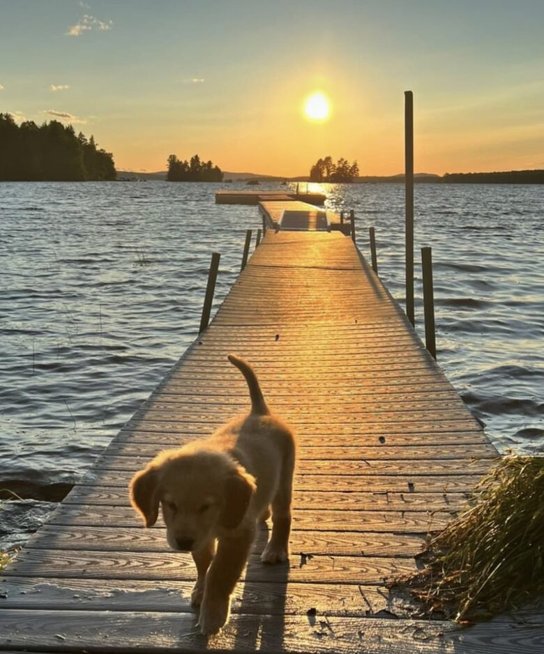 Four-Season Lily Bay Retreat on Moosehead Lake - Lily Bay Township, Maine