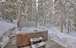 Une escapade à la montagne dans un chalet en rondins, à quelques minutes des pistes de Breckenridge - Breckenridge, Colorado