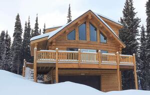 Une escapade à la montagne dans un chalet en rondins, à quelques minutes des pistes de Breckenridge - Breckenridge, Colorado