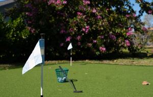 Tropical Retreat with Private Saltwater Pool & Putting Green - Cape Coral, Florida