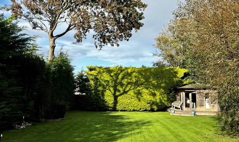 Coastal Retreat in the Witterings , dog friendly - Earnley, United Kingdom