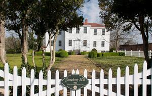 Historic Petersburg Residence with Five Suites and Gardens - Petersburg, Virginia