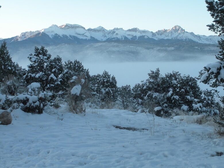 Campbird Cabin Retreat - Montrose, Colorado